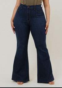 Plus Tall Flare Jeans